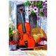 Zvok violine - 1000-delna sestavljanka - .slika