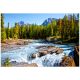 Reka Athabasca, Narodni park Jasper, Kanada - 1500 delna sestavljanka - .slika