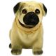 Pes, ki maha z glavo - Mops - .slika