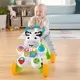 Fisher-Price: Chodítko se zebrou - v maďarštině - .obrázek