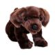 Plišasti labrador, ležeča različica - 20 cm, različne barve - .slika