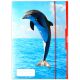 Herlitz: Model delfin Mapa za dokumente - A4 - .slika