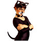 Set accessori per costume da gattino. - .immagine