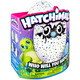 Hatchimals: Draguella v zelenem jajcu - .slika