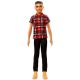 Barbie Fashionistas: Lutka Ken s temno poltjo in rjavimi lasmi v karirasti srajci - .slika
