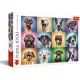 Trefl: Puzzle 1000 pezzi con cani divertenti - .immagine