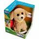 Interactieve Retriever Hondenspeelgoed - .afbeelding