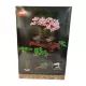LEGO Creator Expert: Bonsai 10281 - .afbeelding