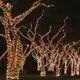Dekortrend: Kontakt LED Spark svetlobna girlanda, 3 metre - topla in hladna bela svetloba - .slika