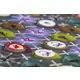 Jogo de tabuleiro Castle of Mind Wyvern - .Imagem