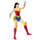DC Comics: Wonder Womani 30 cm tegelane - .pilt
