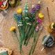 LEGO® Icons Wildblumenstrauß (Muttertag) 10313 - . bild aus