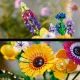 LEGO® Icons Wildblumenstrauß (Muttertag) 10313 - . bild aus