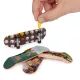 Tech Deck: 4-ių pirštų riedlenčių rinkinys - įvairūs - .vaizdas