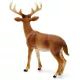 Schleich: Jelen bílý ocas 14818 - .obrázek