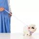 Little Live Pets: Snowflake, a ovelha interativa - .Imagem