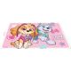 Paw Patrol: Suport de farfurii din plastic Skye și Everest - 41 x 28 cm - .foto