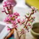 LEGO® Iconic: Ķiršu Ziedi 40725 - .attēls