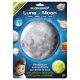 Pomembno: Planet, ki sveti v temi - Luna - .slika