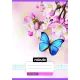 Nebulo: Caiet dictando cu model colorat, clasa a II-a, 16-32, A5 – modele pentru fete, diverse - .foto