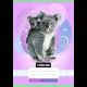 Nebulo: Schoolschrift met dierenmotief, groep 5, 12-32, A5 - diverse - .afbeelding