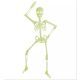 Fosforescerende skeletdekoration - 90 cm - .billede