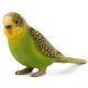 Mojo: Figura de loro ondulado verde - 8 cm - .imagen