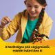 LEGO® Creator Animaux sauvages : Araignée surprenante 31159 - .image