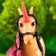 Academia Unicorn: Unicorn jar - .foto