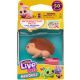 Little Live Pets: Animales coleccionables - erizo Quchee - .imagen