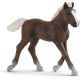 Schleich: Zwartwoud veulen - figuur 13899 - .afbeelding