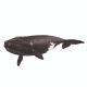 Schleich: Šiaurės Atlanto dešinė banginis figūrėlė 14878 - .vaizdas