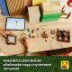 Fazenda do Moinho LEGO® Minecraft® 21272 - .Imagem