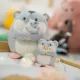 Mymochi: Plüsch-Hamster Shai - 16 cm - . bild aus