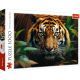 Trefl: Divlji tigar - puzzle od 1000 dijelova - .slika