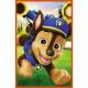 Trefl: Paw Patrol - puzzle 3 x 80 piese - .foto