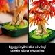 LEGO® Botanicals Czerwony klon japoński bonsai 10348 - .zdjęcie 