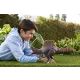 Jurassic World: Figura Colossale di Spinosaurus - 53 cm - .immagine