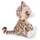 Nici: Pehme bengali kassipoeg - 25 cm - .pilt