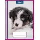 Ljubki vzorčasti ovitek za zvezek - A/5, paket 10 kosov - .slika