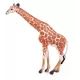 Wilde dieren speelkoffer - .afbeelding