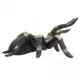 Mojo: Figúrka červenokolennej tarantuly - .Obrázok