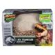 Primal Hatch Interaktív T-Rex dinoszaurusz tojásban - . kép
