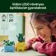 LEGO® Botanicals Mosolygós növények 10349 CSOMAGOLÁSSÉRÜLT - . kép