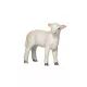 Mojo: Agnello Romney - in piedi, 2,5 cm - .immagine