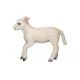 Mojo: agneau Romney - coureur, 2,1 cm - .image