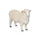 Mojo: Pecora Romney - 3 cm - .immagine