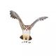 Mojo : Hibou - 11 cm - .image