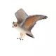 Mojo: Gufo - 11 cm - .immagine