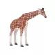 Mojo: Samica žirafy - ručne maľovaná figúrka - .Obrázok
